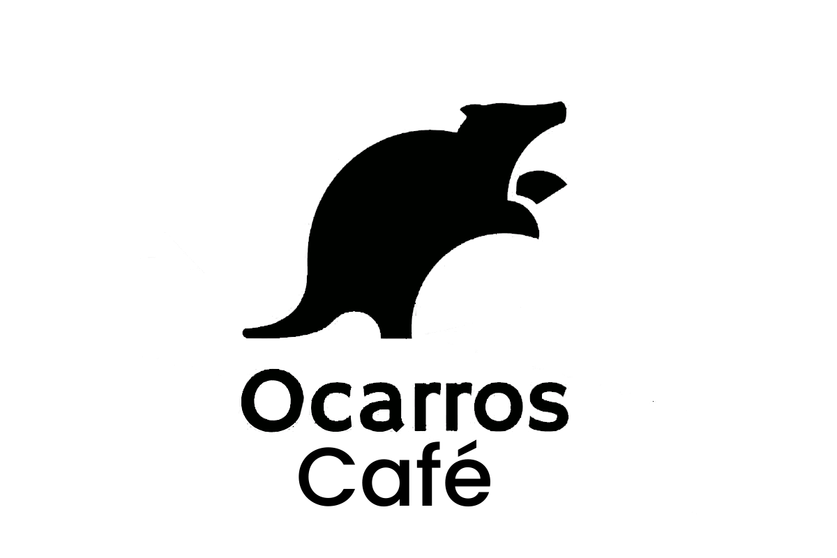 Partner 5